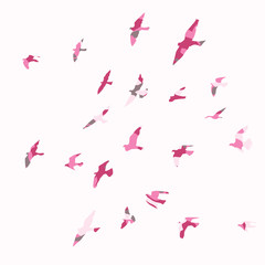 silhouette of a flock of flying birds