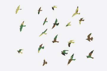 silhouette of a flock of flying birds