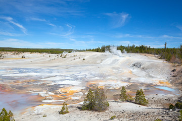 Norris geyser basin