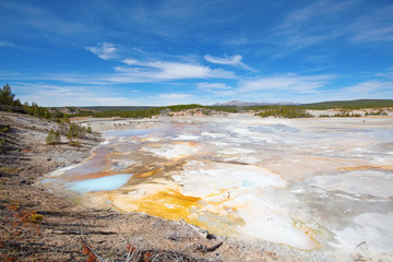 Norris geyser basin