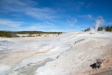 Norris geyser basin
