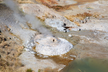 Norris geyser basin