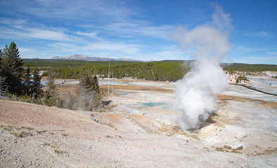 Norris geyser basin