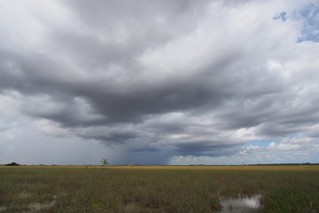 Rainclouds over the expanse of sawgrass in Everglades National Park, Florida.