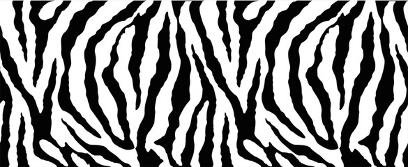 Fototapety   zebra texture