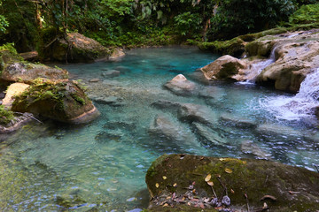 Fototapeta na wymiar Beautiful Jungle Landscaspes and blue pools of Warter at Reach Falls Jamaica