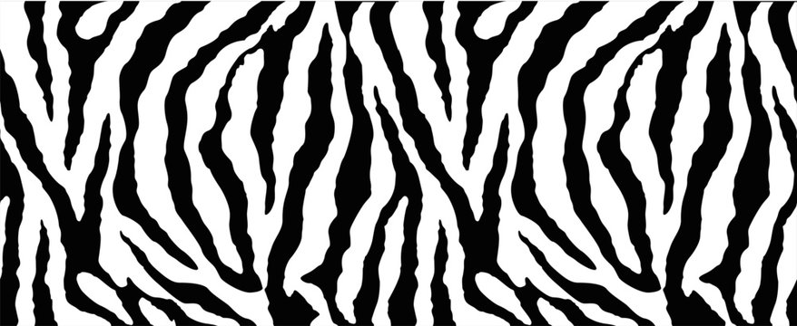  zebra texture