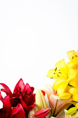 Colorful Flowers frame isolated on white background. Gentle composition with daylilys. Place for text and greetings. Valentine's Day. Top view © innafphotography