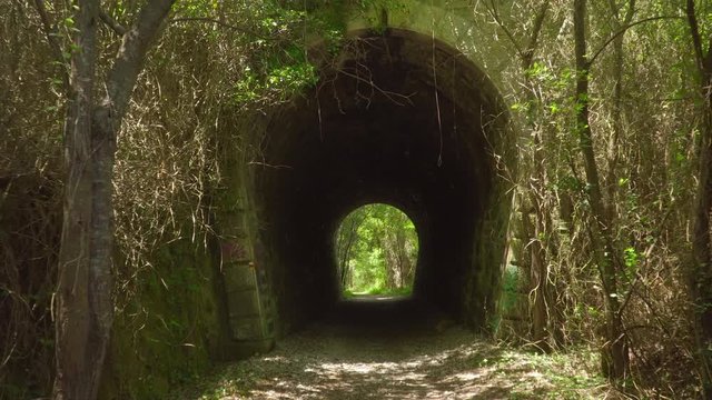 Camara slowly enters a tunnel in the forest