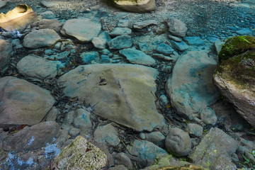 Fototapeta na wymiar Beautiful Jungle Landscaspes and blue pools of Warter at Reach Falls Jamaica