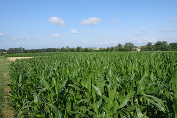 Naturlandschaft in der Nähe von 86653 Monheim