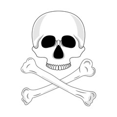 Skull and crossed bones isolated on white background. Cartoon human skull. Vector illustration for any design.