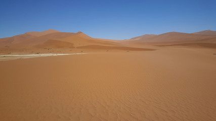 Fototapeta na wymiar Red dunes landscape