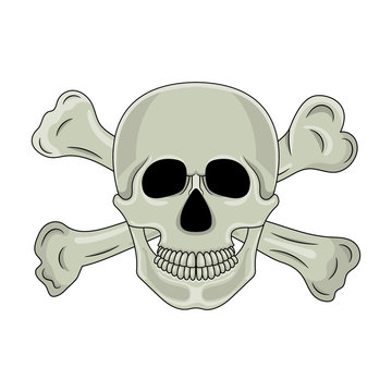Skull and crossed bones isolated on white background. Cartoon human skull with jaw. Vector illustration for any design.