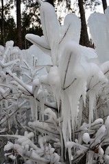 Sculpture de glace au Lac Noir