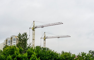 yellow crane are building, behing the trees, near houses, nature is dying