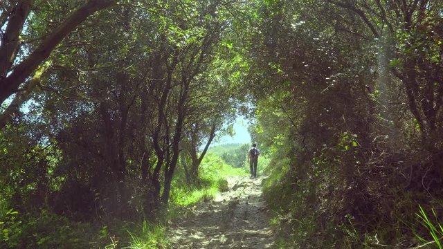 Man leaves  the forest