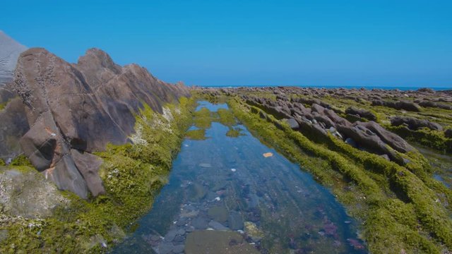 Raft of seawater in the Flysch