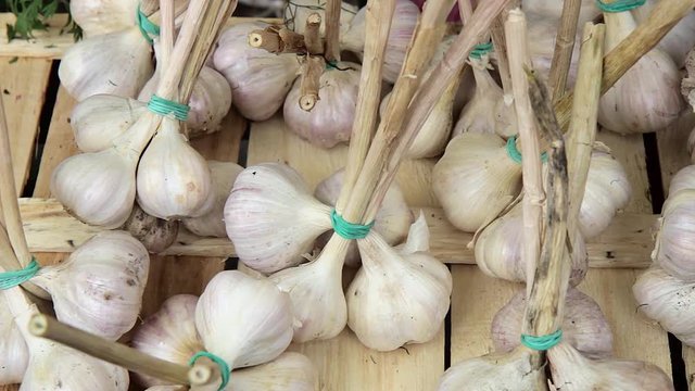 fresh garlic on the market
