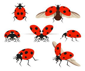 Obraz na płótnie Canvas Cartoon Color Lady Bug Icon Set. Vector