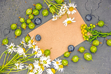  Ripe Gooseberries. Top view on a dark stone table a sheet of brown paper for inscription, green berries of gooseberries, blueberries, a bouquet of field daisies, scissors. 
