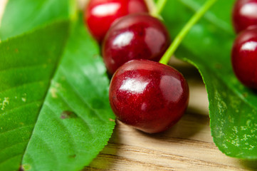close-up of tart cherry fruits with green leaves