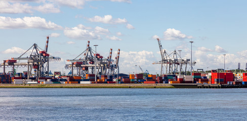 Naklejka premium Logistics business at harbor of Rotterdam, Netherlands. Cranes and cargo loading unloading