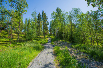 Fototapeta na wymiar Beautiful view of gravel road on sunny summer day. Green trees and plants on blue sky background. Beautiful nature backgrounds.