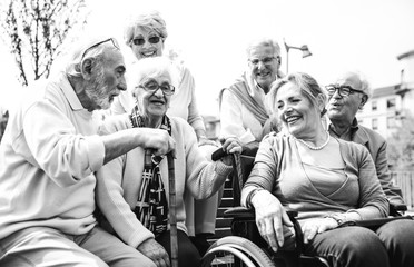 Seniors spending time at the park