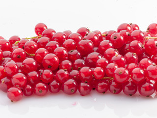Grosellas rojas, racimo, sobre fondo blanco. Red currants, bunch, on white background.