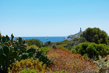 Fototapeta na wymiar Sardinien Villasimius Landschaft am Capo Carbonara