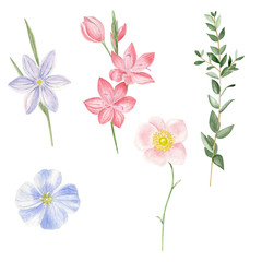  Wildflowers watercolor illustration. A set of wildflowers..Card. Invitations