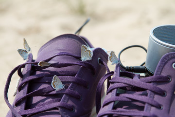Close-up of several beautiful butterflies sitting on purple sneakers on the background of the beach