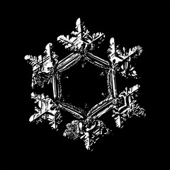Snowflake on black background. Illustration based on macro photo of real snow crystal: unusual specimen with fine hexagonal symmetry, six short, relief arms and large, flat central hexagon.