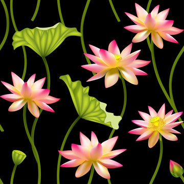Flowers. Floral background. Seamless pattern. Lotus. Water lily. Petals. Green leaves. Tropical. Exotic.