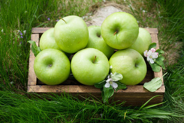 Fresh garden green apples in box