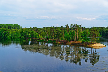 Nature scene on a lake and green forest