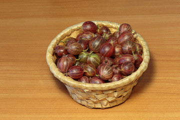 Freshly picked gooseberry in the straw basket close-up. Concept of vegan dessert.