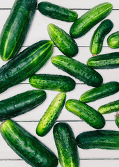 cucumbers on a white background. cucumber in the village. white fence. green young cucumbers.