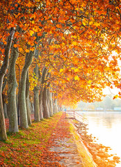 Nice autumnal scene at lake Balaton