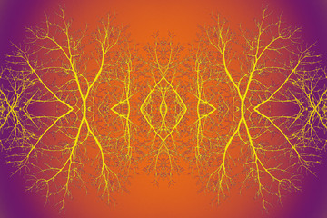 Bird Watching - Fractal Art