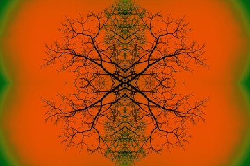 Brain Wave - Fractal art