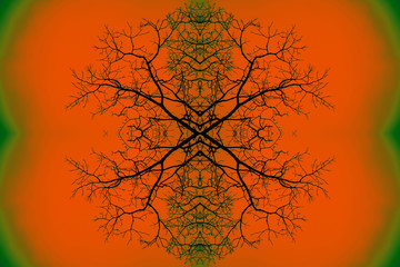 Brain Wave - Fractal art