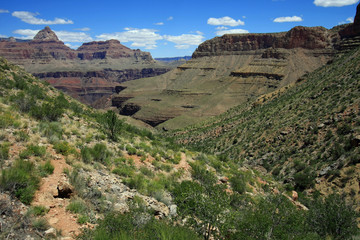 Fototapeta na wymiar View of the inner canyon from the Grandview Trail in Grand Canyon National Park, Arizona.
