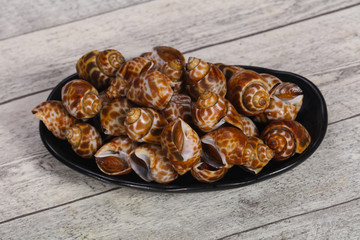 Tasty mollusk - spotted Babylon in the bowl