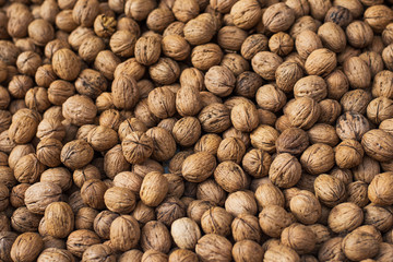 Walnuts with and without shells (filling the picture). Background of fresh walnuts.