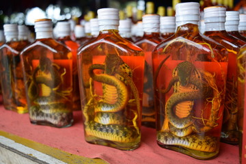 cobra liquor in bottles in a Laos market