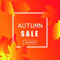 gradient in yellow-orange tones, autumn sale background with white frame, for advertising,vector illustration