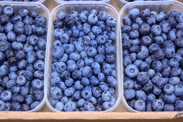 fresh blueberries in a bowl