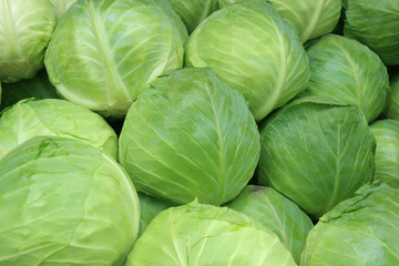 fresh cabbage on farmer's market